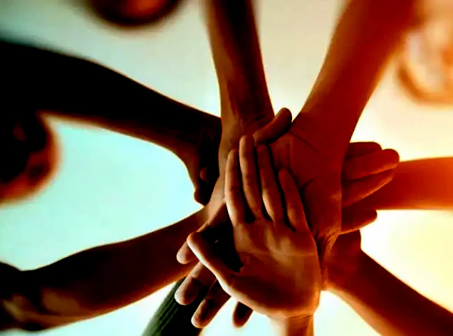 shalimar organization strengh